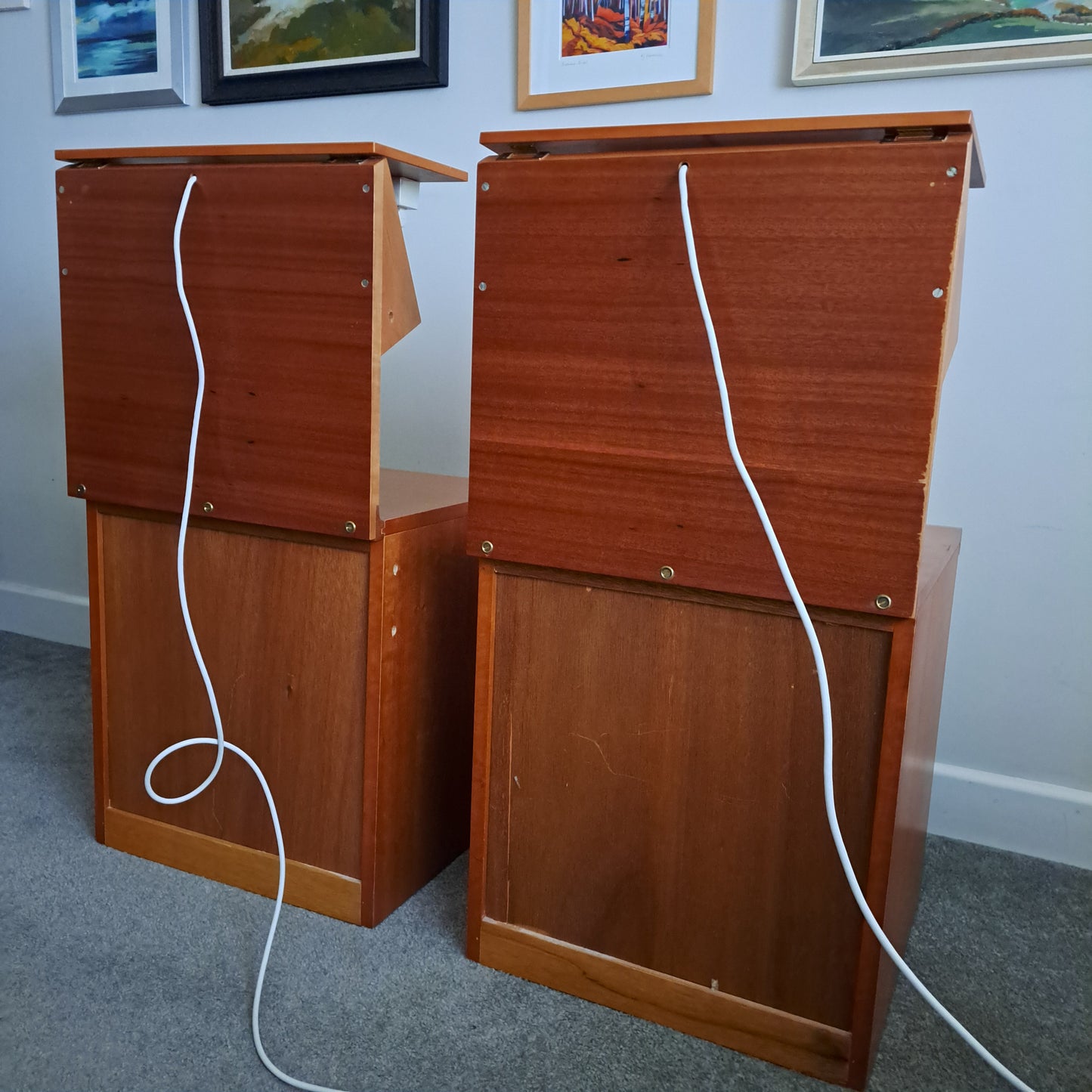 PAIR of Elm and Beech Bedside Cabinets with Integral Lights by White & Newton 1960s