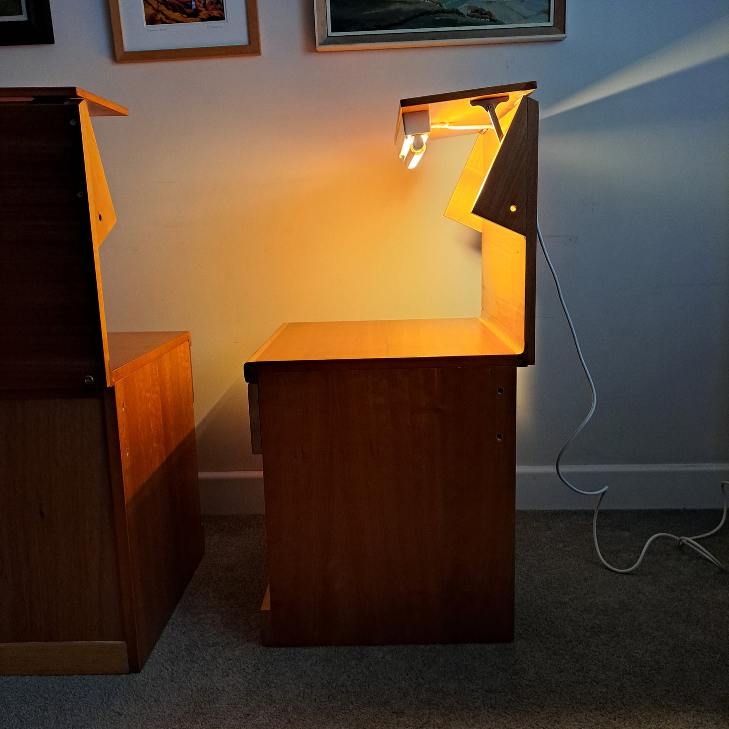 PAIR of Elm and Beech Bedside Cabinets with Integral Lights by White & Newton 1960s